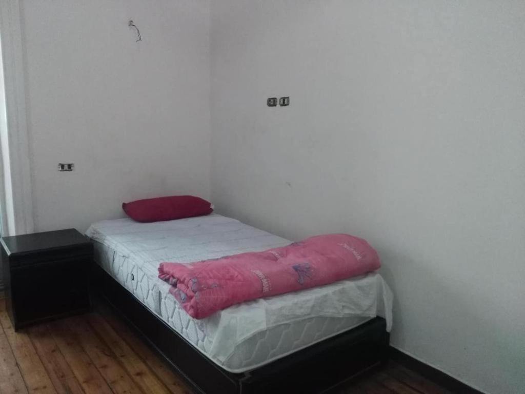 New Safari Hostel Le Caire Extérieur photo
