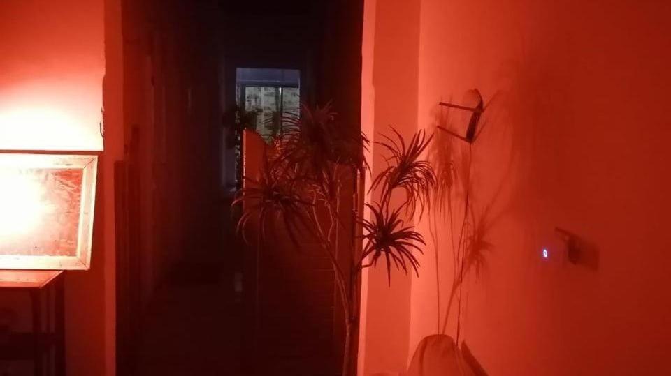 New Safari Hostel Le Caire Extérieur photo