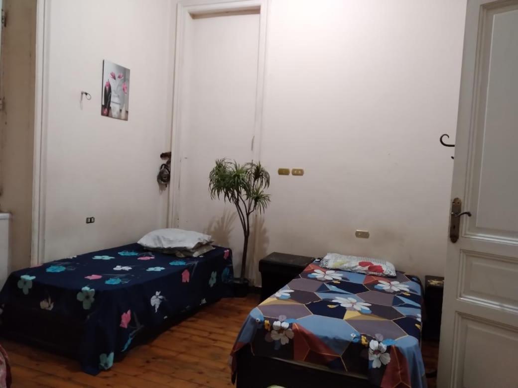 New Safari Hostel Le Caire Extérieur photo